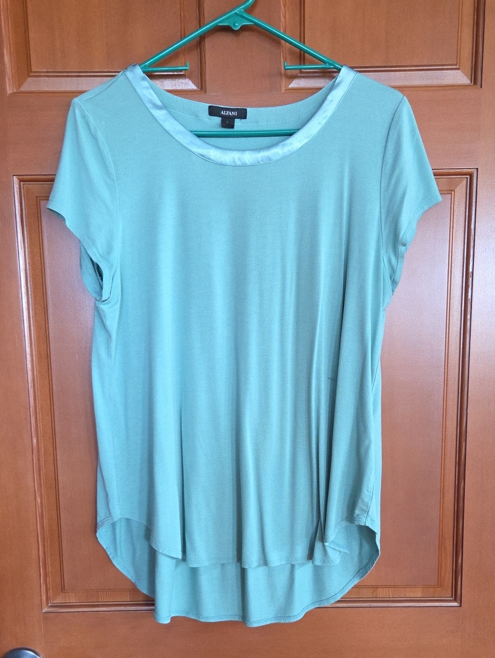 Alfani Mint Green Short Sleeve High-Low Tee Satin Neckline PP20" L23"